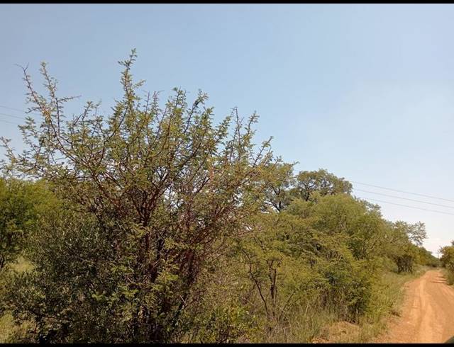 FARM FOR SALE IN DINOKENG GAME RESERVE